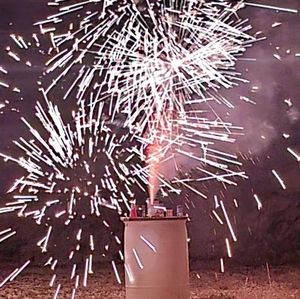 Meet your Posher, Jodie